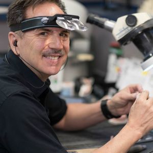 Meet your Posher, Darcy